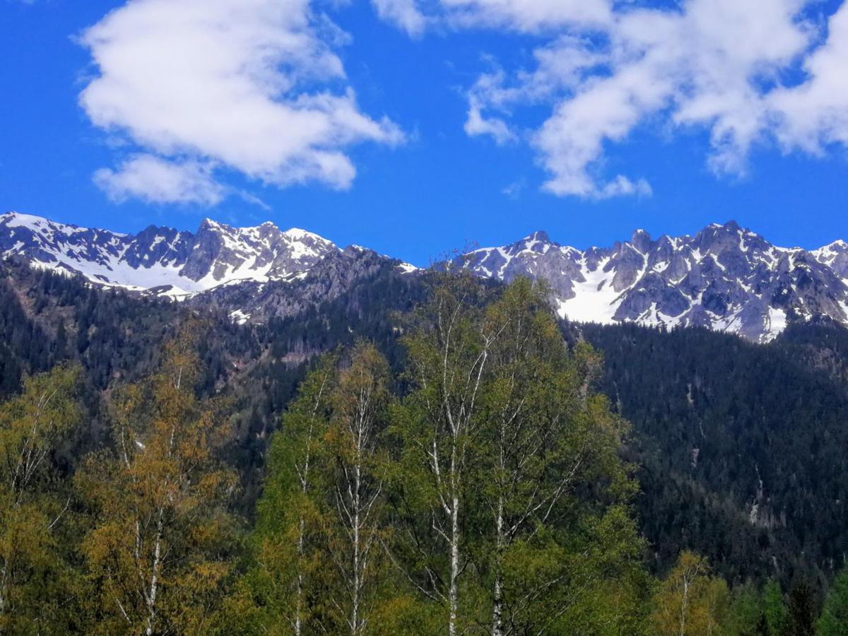 Le Chamoniard Volant Vandrarhem Chamonix Exteriör bild